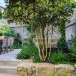 How to make the most out of a courtyard garden